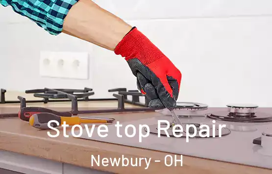  Stove top Repair Newbury - OH