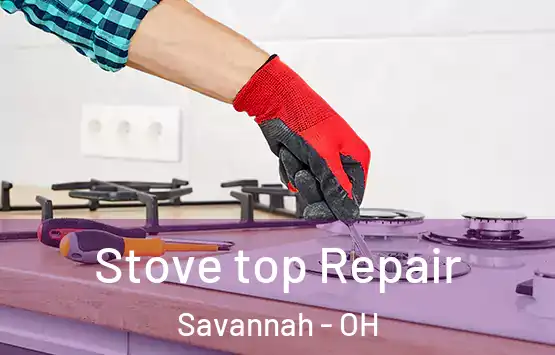  Stove top Repair Savannah - OH