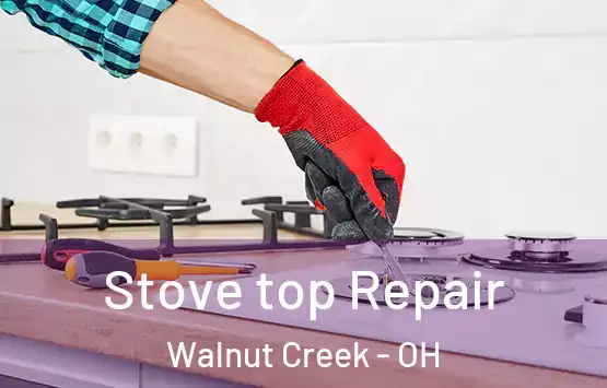  Stove top Repair Walnut Creek - OH