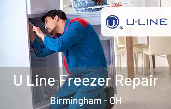  U Line Freezer Repair Birmingham - OH