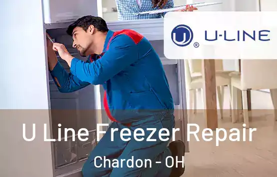  U Line Freezer Repair Chardon - OH