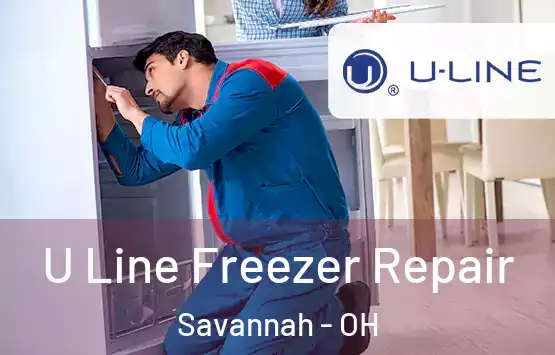  U Line Freezer Repair Savannah - OH
