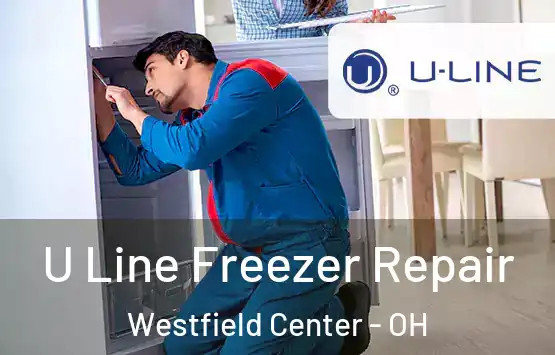  U Line Freezer Repair Westfield Center - OH