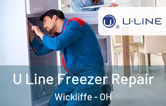  U Line Freezer Repair Wickliffe - OH