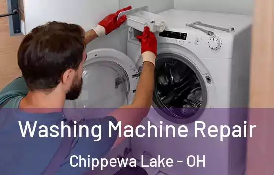  Washing Machine Repair Chippewa Lake - OH