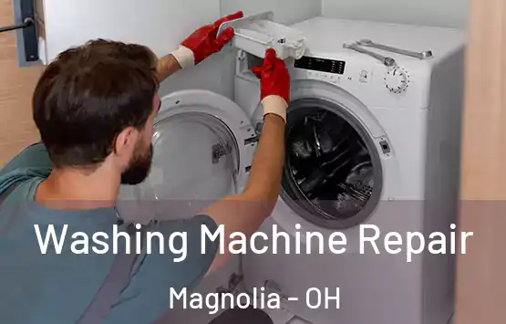 Washing Machine Repair Magnolia - OH
