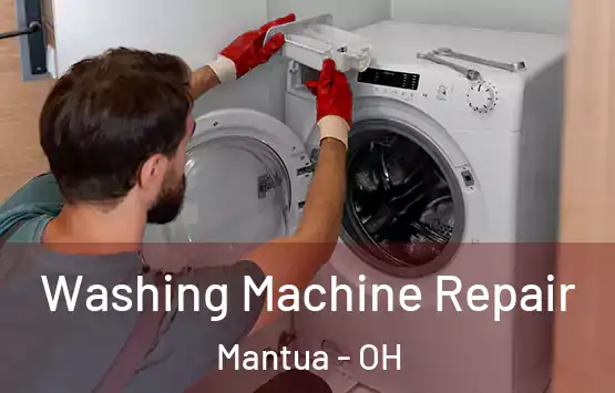  Washing Machine Repair Mantua - OH