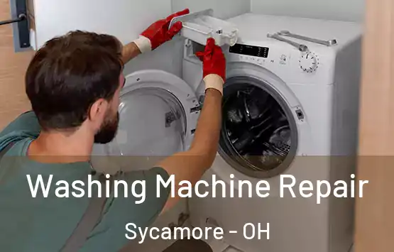  Washing Machine Repair Sycamore - OH