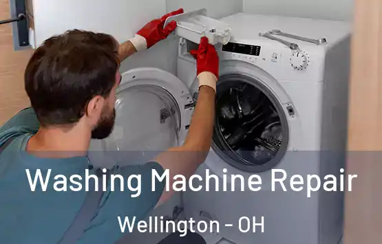  Washing Machine Repair Wellington - OH