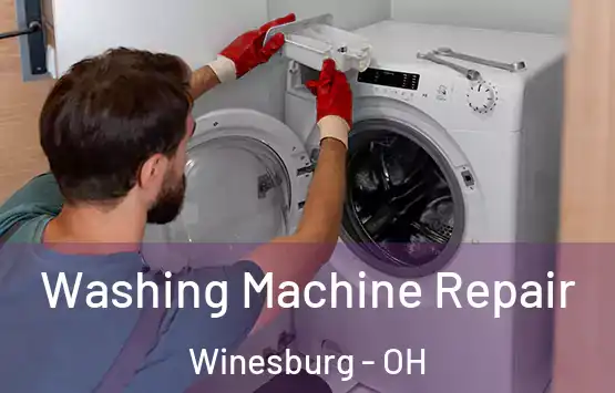  Washing Machine Repair Winesburg - OH