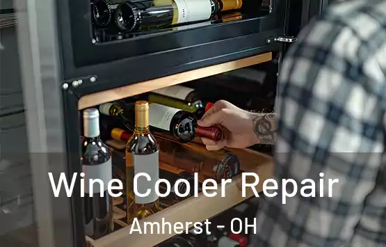  Wine Cooler Repair Amherst - OH