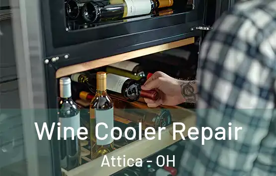  Wine Cooler Repair Attica - OH