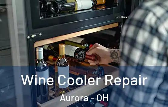  Wine Cooler Repair Aurora - OH