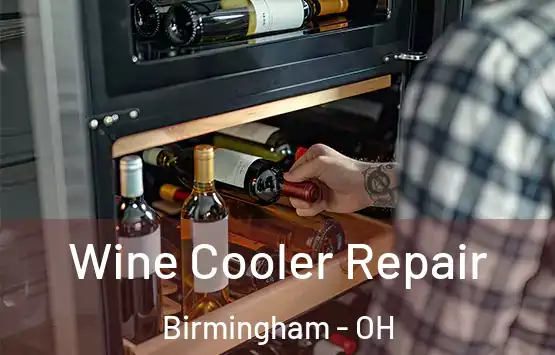  Wine Cooler Repair Birmingham - OH