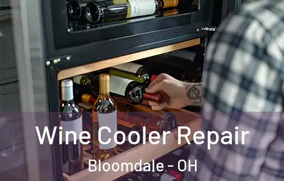  Wine Cooler Repair Bloomdale - OH