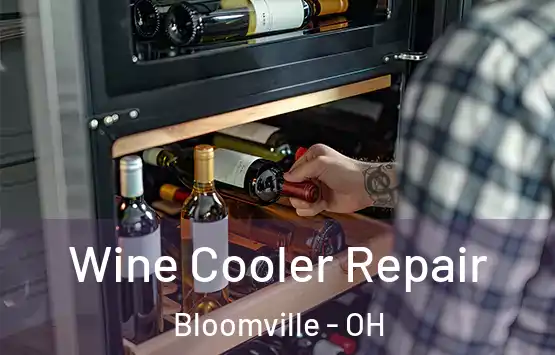  Wine Cooler Repair Bloomville - OH