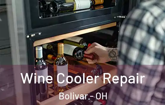  Wine Cooler Repair Bolivar - OH