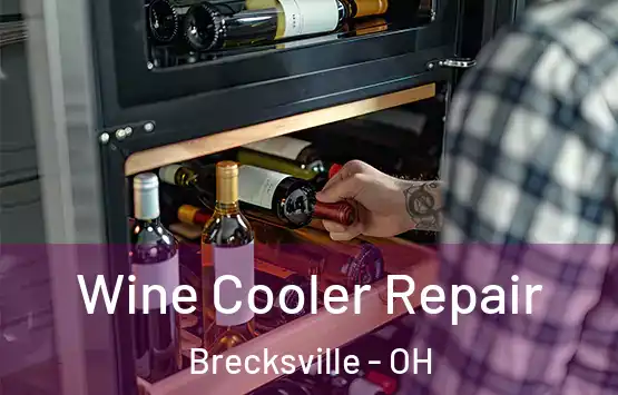  Wine Cooler Repair Brecksville - OH