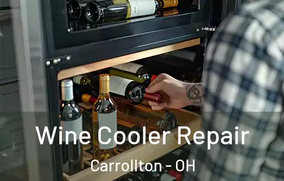  Wine Cooler Repair Carrollton - OH