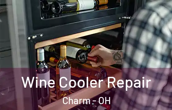  Wine Cooler Repair Charm - OH