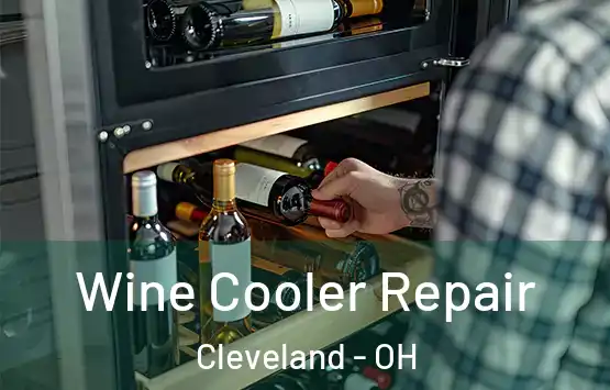  Wine Cooler Repair Cleveland - OH