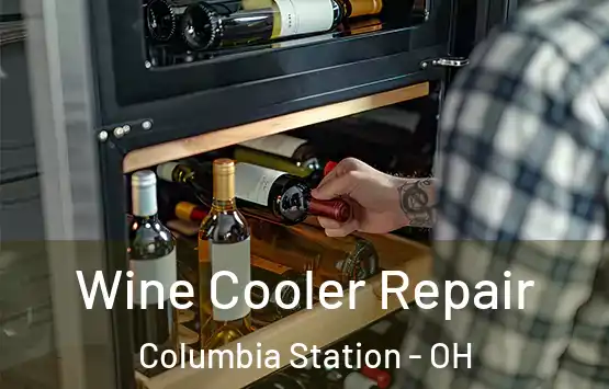  Wine Cooler Repair Columbia Station - OH
