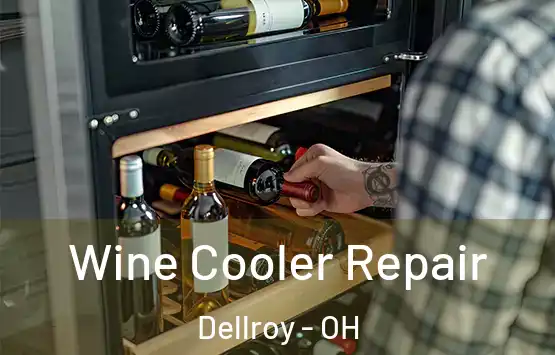  Wine Cooler Repair Dellroy - OH
