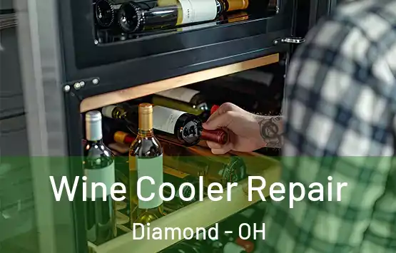  Wine Cooler Repair Diamond - OH