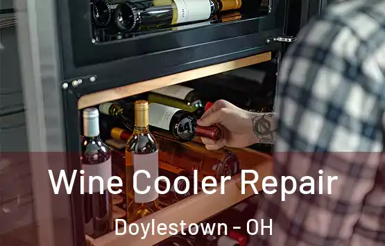  Wine Cooler Repair Doylestown - OH