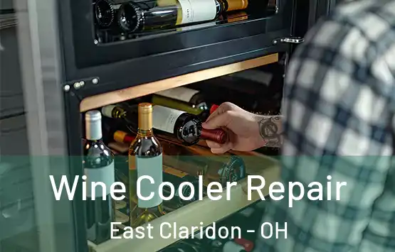  Wine Cooler Repair East Claridon - OH