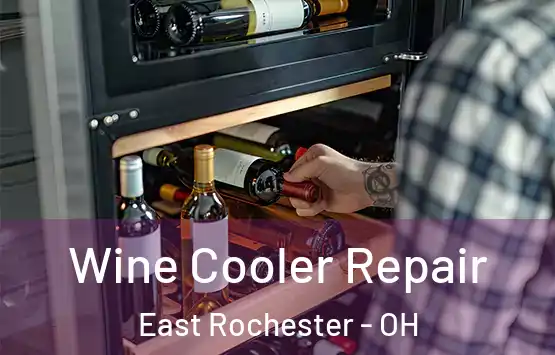  Wine Cooler Repair East Rochester - OH