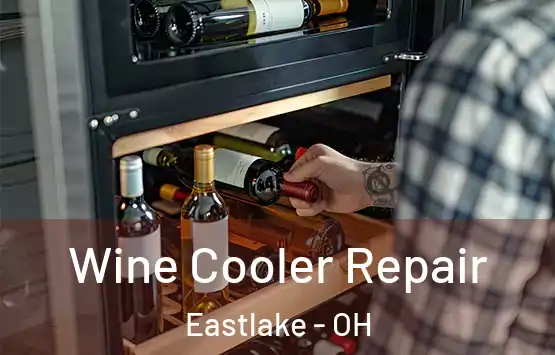  Wine Cooler Repair Eastlake - OH
