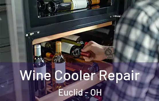  Wine Cooler Repair Euclid - OH