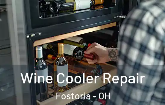 Wine Cooler Repair Fostoria - OH