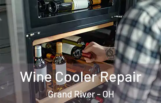  Wine Cooler Repair Grand River - OH