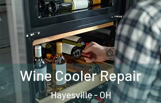  Wine Cooler Repair Hayesville - OH