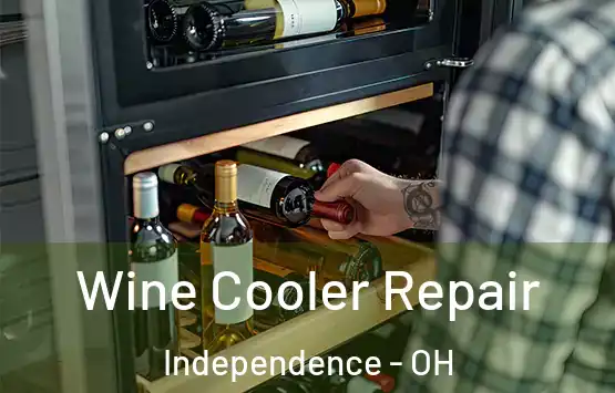  Wine Cooler Repair Independence - OH