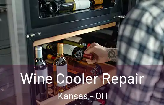  Wine Cooler Repair Kansas - OH