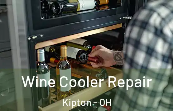  Wine Cooler Repair Kipton - OH