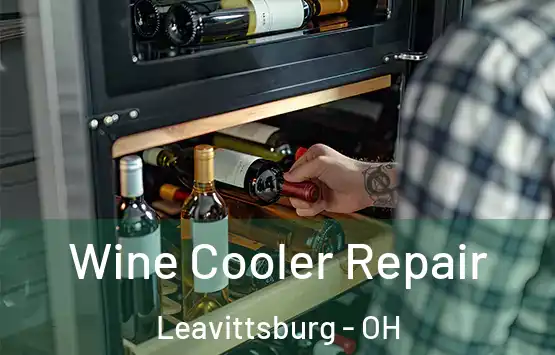  Wine Cooler Repair Leavittsburg - OH