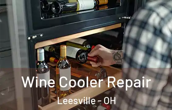  Wine Cooler Repair Leesville - OH
