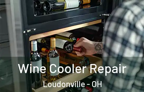  Wine Cooler Repair Loudonville - OH
