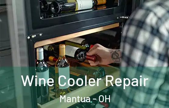  Wine Cooler Repair Mantua - OH