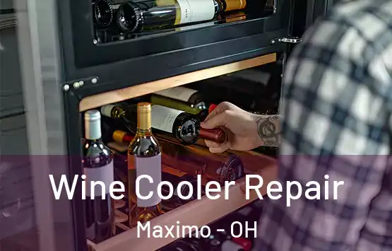 Wine Cooler Repair Maximo - OH