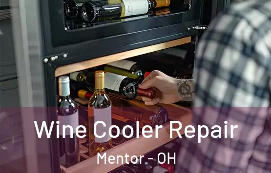  Wine Cooler Repair Mentor - OH