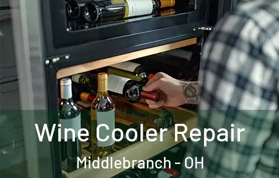  Wine Cooler Repair Middlebranch - OH