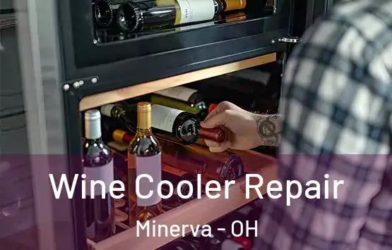  Wine Cooler Repair Minerva - OH