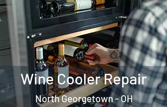  Wine Cooler Repair North Georgetown - OH