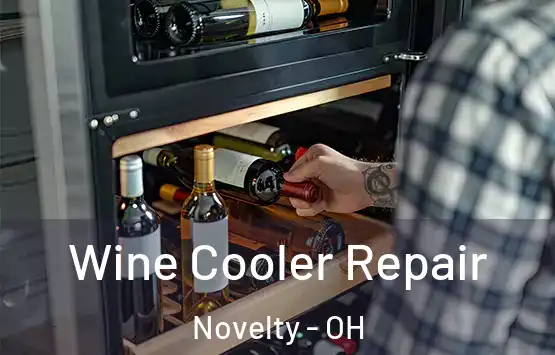  Wine Cooler Repair Novelty - OH