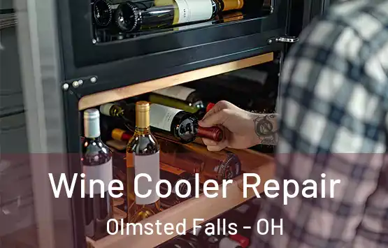  Wine Cooler Repair Olmsted Falls - OH